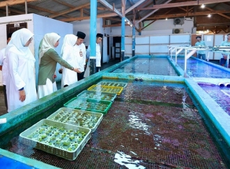 Bupati Ipuk Apresiasi Budidaya Koral Hias Banyuwangi, Diminati Pasar Asia Hingga Eropa