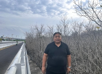Logam Berat dan BBM dari Pipa Pertamina Penyebab Matinya 300 Pohon Mangrove di Benoa
