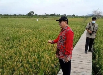 Kamarudin Muten Soroti Melonjaknya Produksi Padi 3,5 Ton Jadi 6 Ton Gabah Per Ha di Danau Nujau