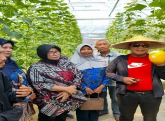 Sujiwo Ajak Warga Manfaatkan Pekarangan Rumah Agar Bisa Bernilai Ekonomis