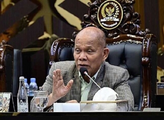 Sturman Panjaitan Ungkap Perbedaan Mendasar RUU Satu Data Indonesia dengan RUU Statistik