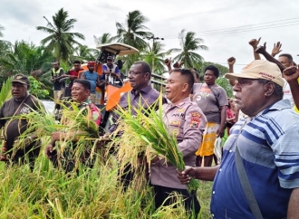 Edoardus Kaize Puji Keberhasilan Panen Perdana Padi Masyarakat Kampung Matara, Merauke
