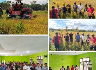 Edoardus Kaize: Jangan Lupa dengan Sagu Agar Tidak Jadikan Beras Satu-Satunya Makanan Harian