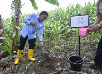 Sonny Dorong Pengembangan Tanaman Sukun Dalam Program Rehabilitasi Hutan dan Lahan