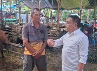 Soroti Penurunan Omzet Pedagang Hewan Kurban, Anas Karno Desak Lurah dan Camat Turun ke Lapangan