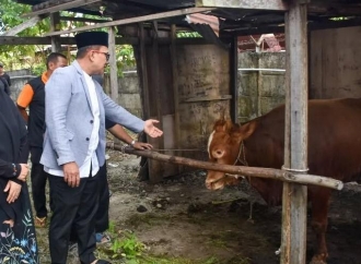 Sujiwo Apresiasi Kekompakan OPD Kubu Raya Kumpulkan 29 Hewan Kurban