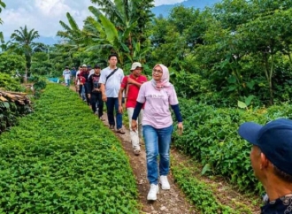 Sadarestuwati Kunjungan Lapangan Tinjau Potensi Wonosalam: Kekuatan Pangan Dimulai dari Desa