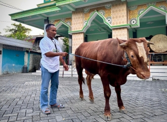 Iduladha 1447 H, Abidin Fikri Salurkan Tiga Ekor Sapi Kurban di Bojonegoro dan Tuban