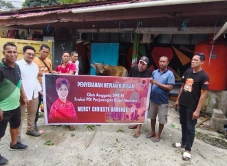 Mercy Barends Salurkan Sapi Kurban Kepada Pemuda Kompleks Tanjung Batu Merah Ambon