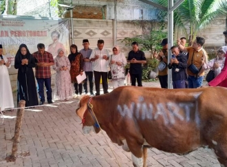 Iduladha 1447 H, DPD PDI Perjuangan Lampung Distribusikan Belasan Hewan Kurban di Tengah Tantangan Ekonomi