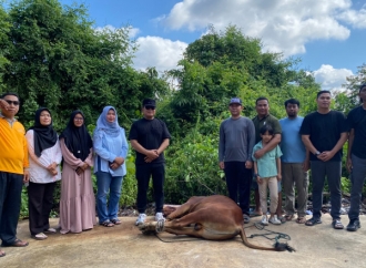 Sapi Kurban Presiden dari Peternak Lokal, Sujiwo: Ini Bukti Kualitas Ternak Kubu Raya Diakui Nasional