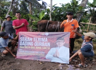 Kaisar Kiasa Kasih Said Putra Salurkan 45 Ekor Sapi Kurban di Cilacap dan Banyumas