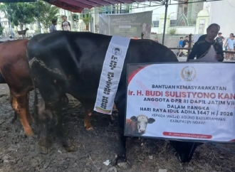 Idul Adha 1447 H, Kanang Salurkan Kurban 12 Sapi dan 109 Kambing Untuk Warga Dapil VII Jawa Timur