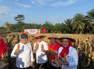 Prof. Rokhmin Dahuri Pimpin Panen Ikan dan Jagung di Palas, Perkuat Kedaulatan Pangan dari Desa