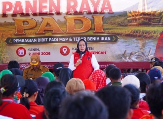 Sokong Ketahanan Pangan, PDI Perjuangan Panen Raya hingga Tebar 70 Ribu Benih Ikan di Lampung Tengah