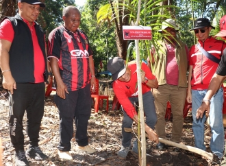 Jaga Ketahanan Pangan Lokal, DPD PDI Perjuangan Papua Tanam Sagu di Jayapura