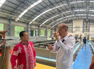 Rokhmin Dahuri: Indonesia Miliki Peluang Besar Pusat Industri Ikan Hias, Tapi Baru Dimanfaatkan Kurang dari 25 Persen