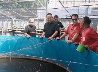 Rokhmin Dahuri Salurkan Bantuan 110 Ribu Ekor Benih Ikan Kepada 10 Kelompok Pembudidaya di Cirebon