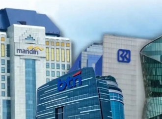 Respons Perpanjangan Penempatan Dana Kas Negara di Himbara, Elvi Tekankan Akuntabilitas dan Transparansi