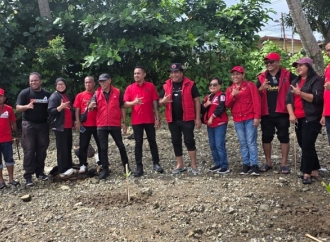 Politik Hijau, PDI Perjuangan Tanam 1.000 Bibit Mangrove di Pesisir Teluk Ambon yang Tergerus Abrasi dan Pembangunan