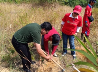 Tanam Pohon di Tahura Menumbing, Elvi Diana Gaungkan Gerakan Merawat Bumi