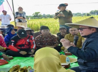 Komitmen Bangkitkan Kejayaan Pertanian, Bupati Kubu Raya Janji Sektor Pangan Kembali Menjanjikan
