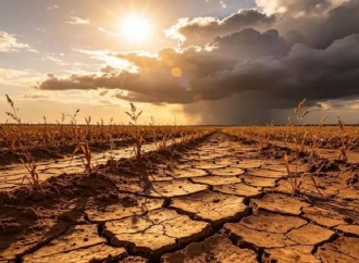 Hadapi Ancaman El Niño, Rokhmin Dahuri: Negara Harus Memanen Air Saat Musim Hujan dan Lindungi Petani