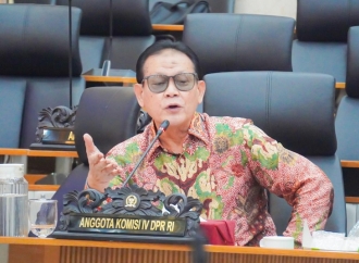 Penyelundupan Bibit Lobster Rugikan Negara Rp16 Triliun, Rokhmin Desak Pemerintah Bongkar Aktor Intelektual