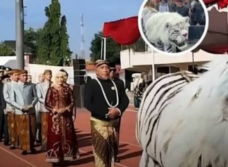 HUT ke-421 Kendal, Bupati Dyah Kartika: Harimau Putih Jadi Simbol Semangat Membangun