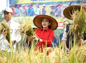Bupati Karolin Dorong Petani Landak Jadi Penangkar Benih Padi Mandiri