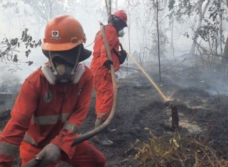 Bencana Karhutla Kembali Terjang Kalimantan, Shanty Alda Natalia Ajak Masyarakat Kirim Doa dan Kepedulian ​