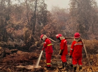 Sonny Danaparamita Desak Kemenhut Cabut Izin Perusahaan di Tengah Karhutla Kalimantan
