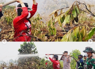 Tjhai Chui Mie Terjun Langsung ke Karhutla: Kecepatan Merespons Setiap Titik Api Jadi Kunci Utama