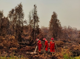 Sentil Ketamakan Manusia, Puisi Samuel Wattimena untuk Hutan Kalimantan Menyentuh Hati