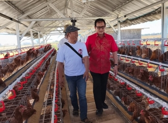 Program Bantuan Ayam Petelur, Rokhmin: Pacu Ekonomi Warga Mandiri dan Berkelanjutan
