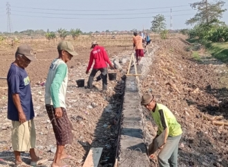 Atasi Banjir Menahun di Kemurang Kulon, Shanty Alda Gandeng PLN Bangun Infrastruktur Irigasi