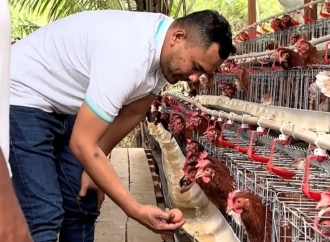 Jamaluddin Idham Salurkan Bantuan Ayam Petelur Bagi Kelompok Tani di Sejumlah Daerah Aceh