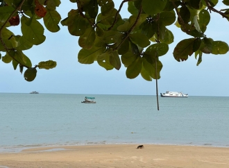 Ancam Keselamatan Pengunjung Pantai Tanjung Kalian, Elvi Diana Soroti Tambang Timah di Habitat Buaya