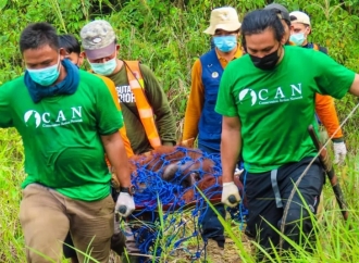 Karhutla Kalbar Rusak Habitat Orangutan, Sonny Minta Pemetaan Segera Dilakukan