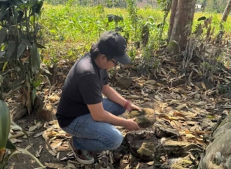 Geger Benda Purbakala Hilang, Candra Ary Fianto: Jember Darurat Cagar Budaya