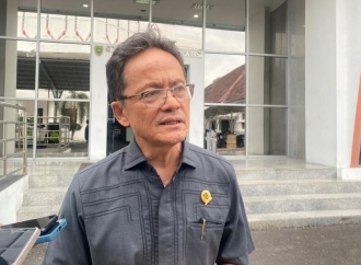 Pemerintah Pusat Didesak Tanggung Jawab Lebih Besar dalam Tangani Karhutla di Kalteng