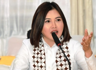 Vita Ervina Minta Pemerintah Tak Terburu-buru Terapkan Rujukan Berbasis Kompetensi