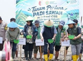 Alia Idrus: Cetak Sawah Rakyat 2026 di Lindu Dorong Ketahanan Pangan Nasional