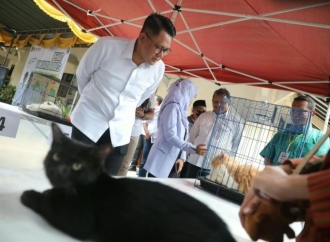 Jaga Status Bebas Rabies, Pemkab Sleman Gelar Vaksinasi Hewan Gratis dan Kontes Kucing