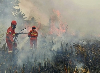 Karhutla Berulang, Pemerintah Didesak Evaluasi Penanganan dan Buka Peluang Status Bencana Nasional