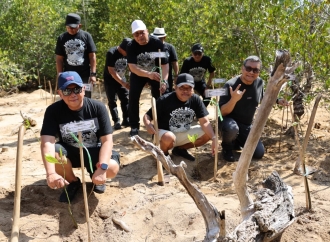 Di CMC Tiga Warna, Hasto dkk Tanam Mangrove dan Catat Koordinatnya lewat Aplikasi