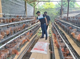 Jamaluddin Idham Tinjau Bantuan Budidaya Lele dan Ayam Petelur di Aceh Barat
