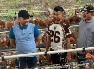 Pastikan Tepat Sasaran, Jamaluddin Idham Tinjau Program Pertanian dan Peternakan di Abdya