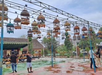 Doding Rahmadi Dukung Gantangan Perkutut Trenggalek Gerakkan Ekonomi Lokal