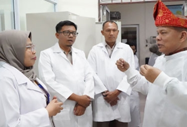 Sturman Kritik Data Penurunan Deforestasi dari Kementerian Kehutanan: Logikanya Tidak Nyambung dengan Banjir Besar